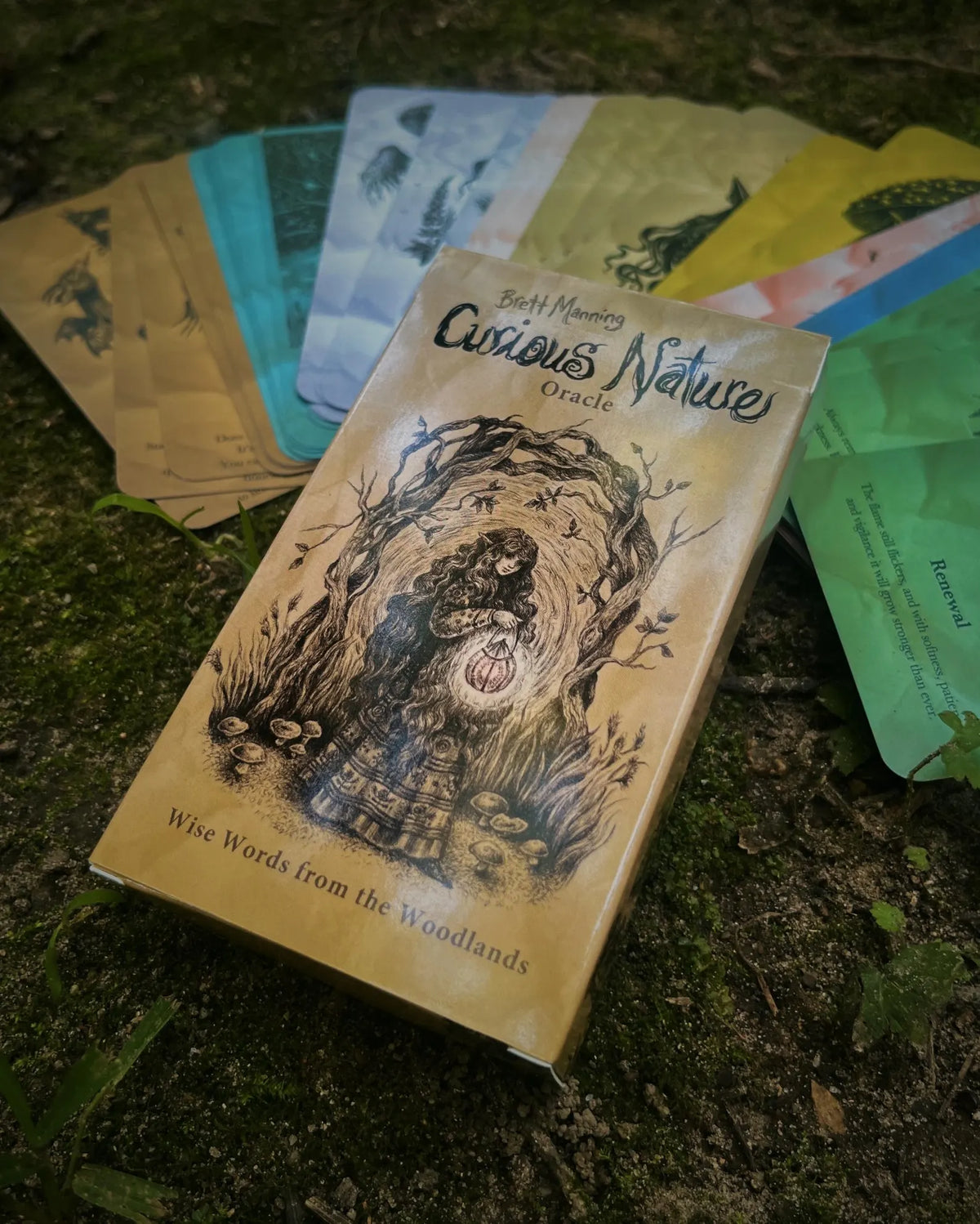Curious Nature Oracle Deck by Brett Manning