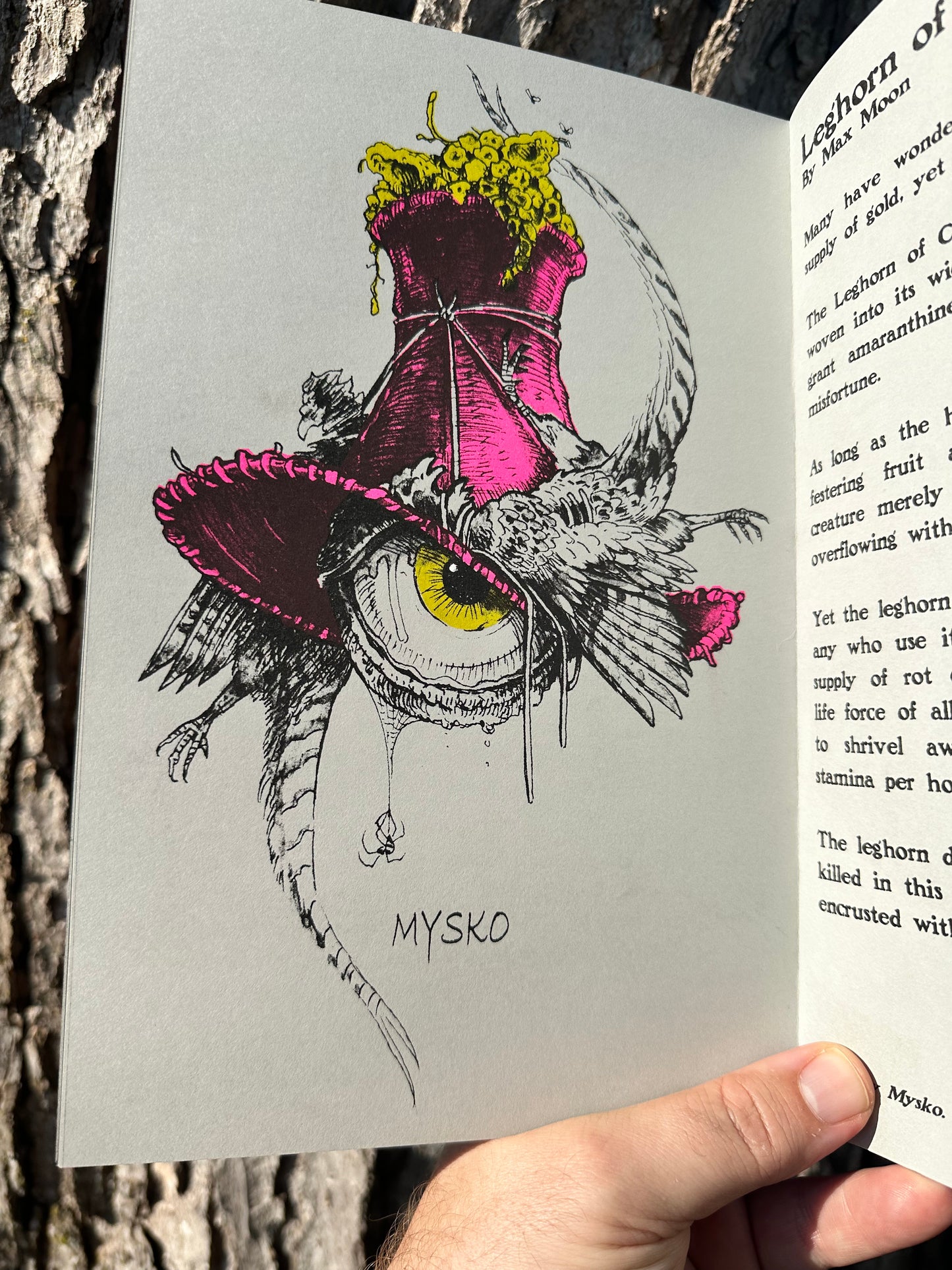 Closet of the Eye Wizard Exclusive Risograph Edition!