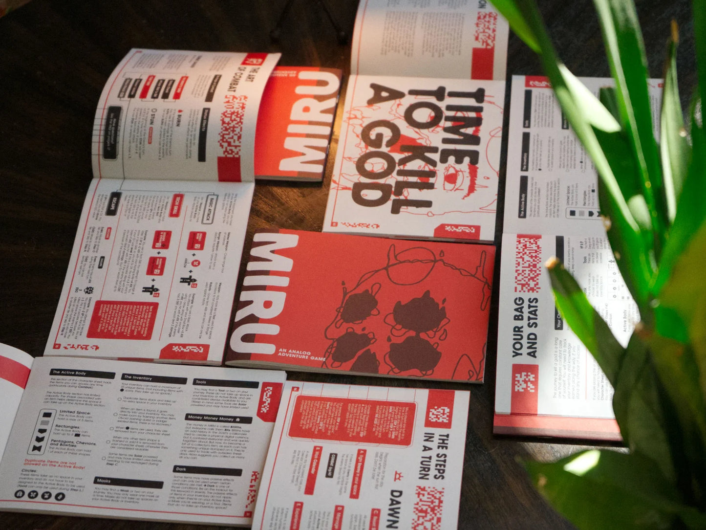 MIRU Book Bundle (Includes Miru I, II, and III)