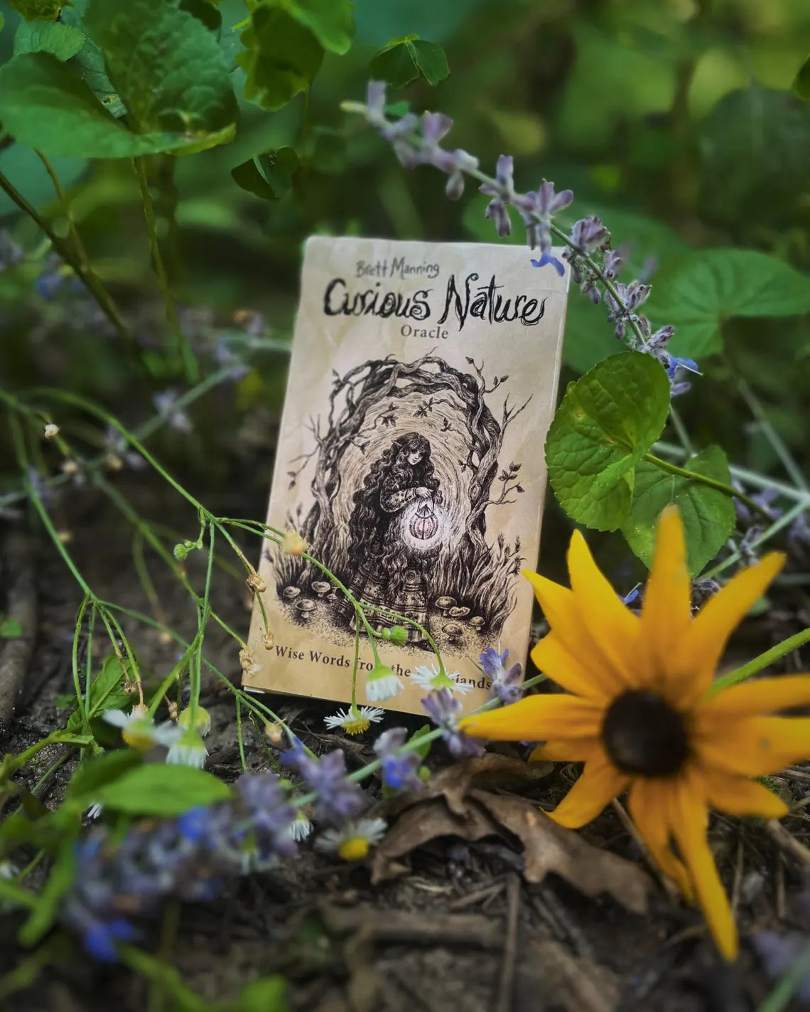 Curious Nature Oracle Deck by Brett Manning