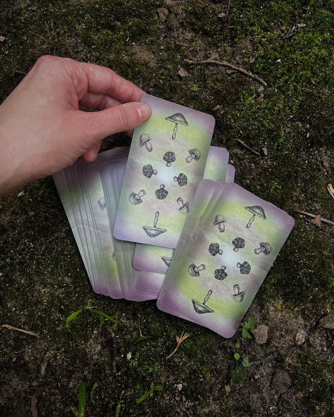 Curious Nature Oracle Deck by Brett Manning