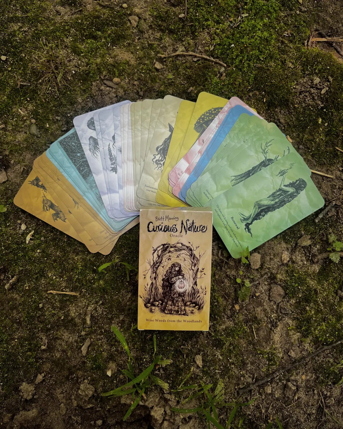 Curious Nature Oracle Deck by Brett Manning