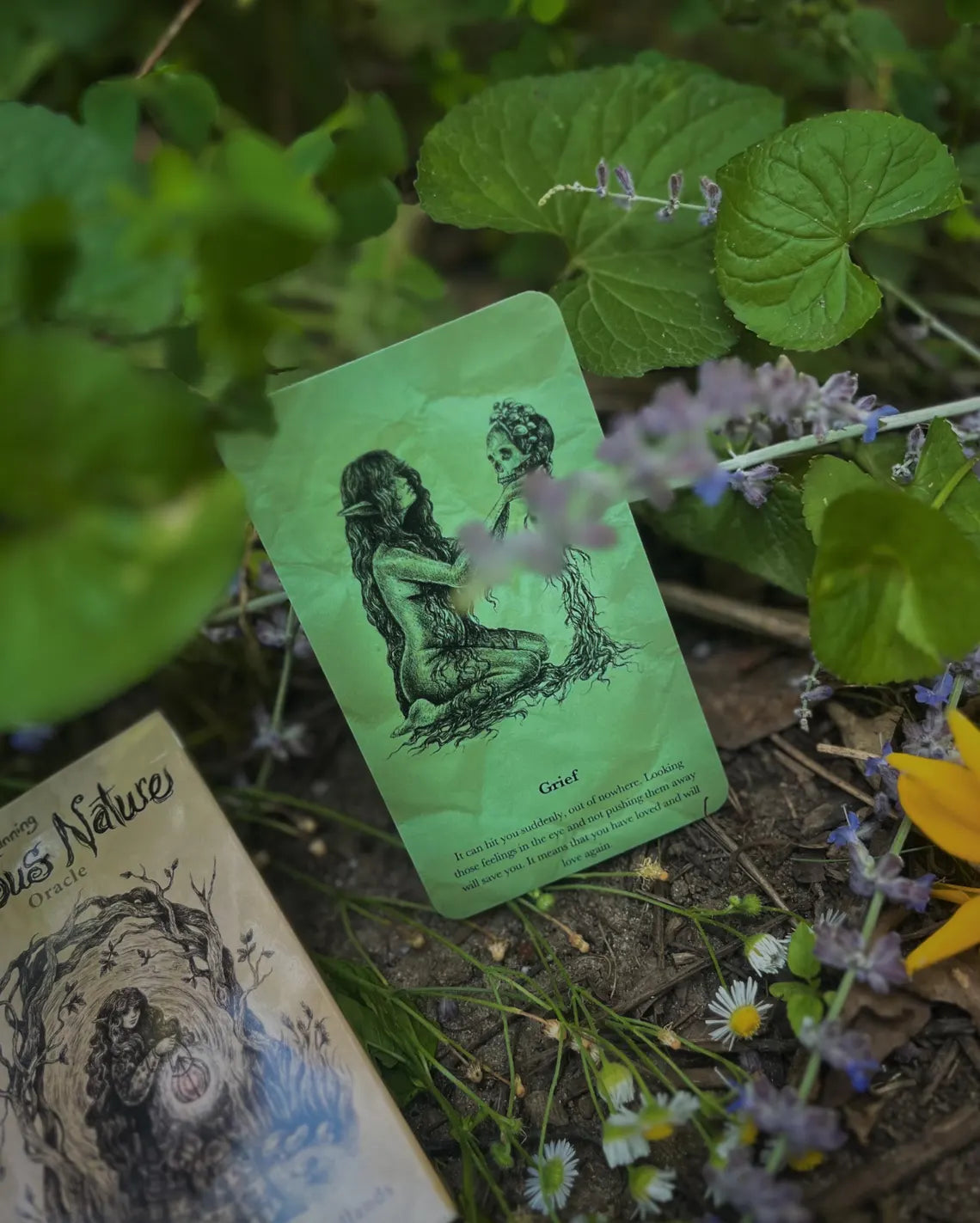 Curious Nature Oracle Deck by Brett Manning