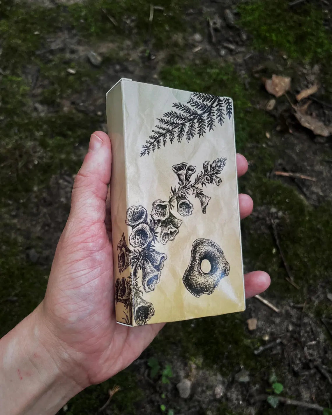 Curious Nature Oracle Deck by Brett Manning